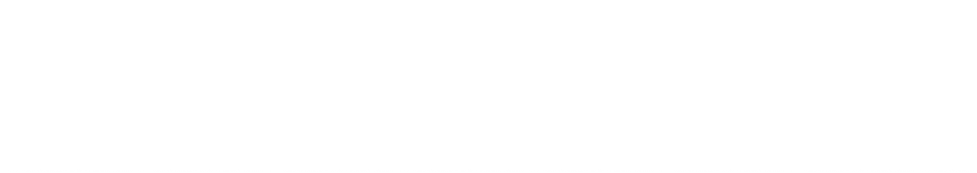 Home 04 Onepage